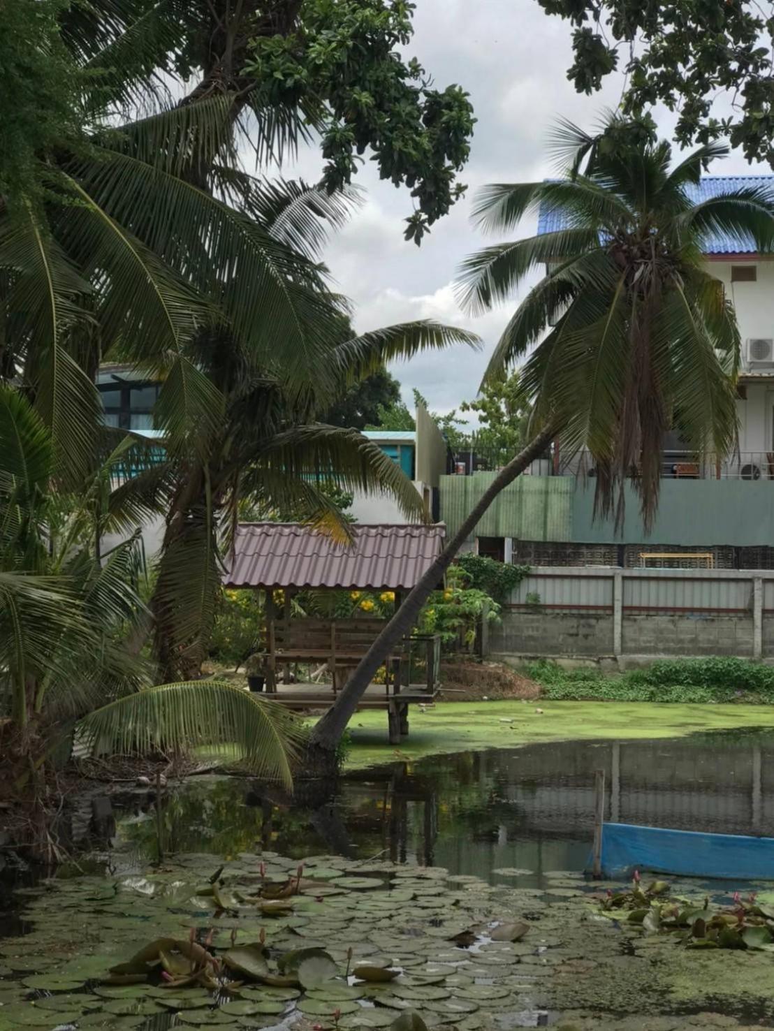 Baan Lotus Guest House 프라 나콘 시 아유타야 외부 사진
