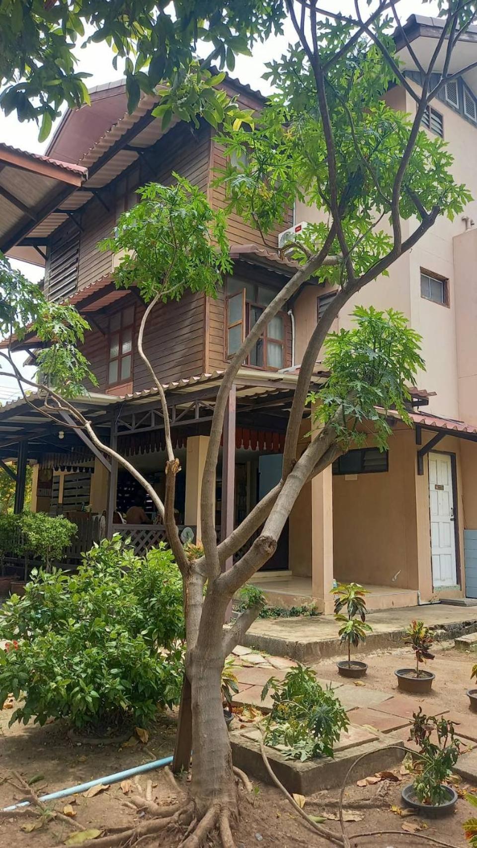 Baan Lotus Guest House 프라 나콘 시 아유타야 외부 사진